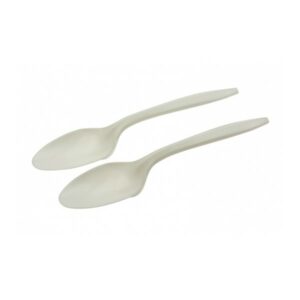 Plastic Spoon
