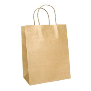 Twisted Handle Paper Bag - 270x210x140
