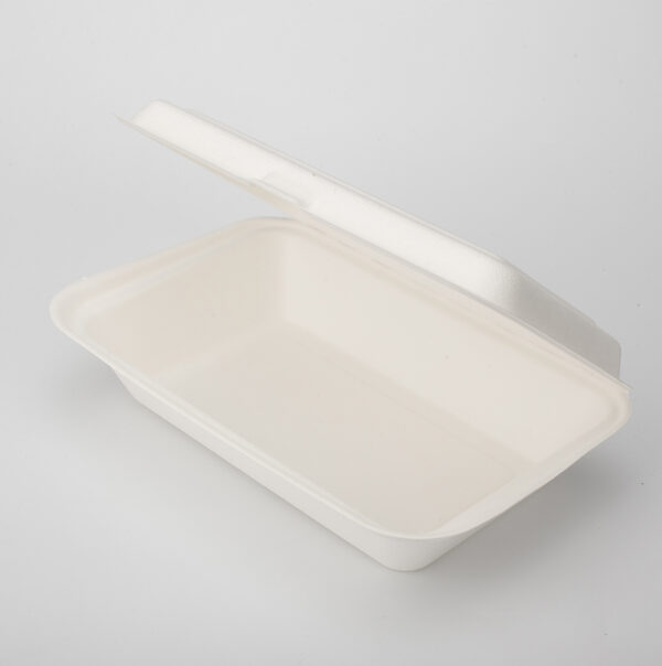 6X4" Sugarcane Clamshell - B004