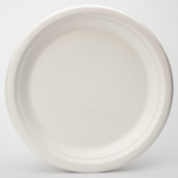 10" Inch Sugarcane Round Plate